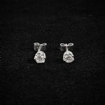 1068 4181 EARRINGS